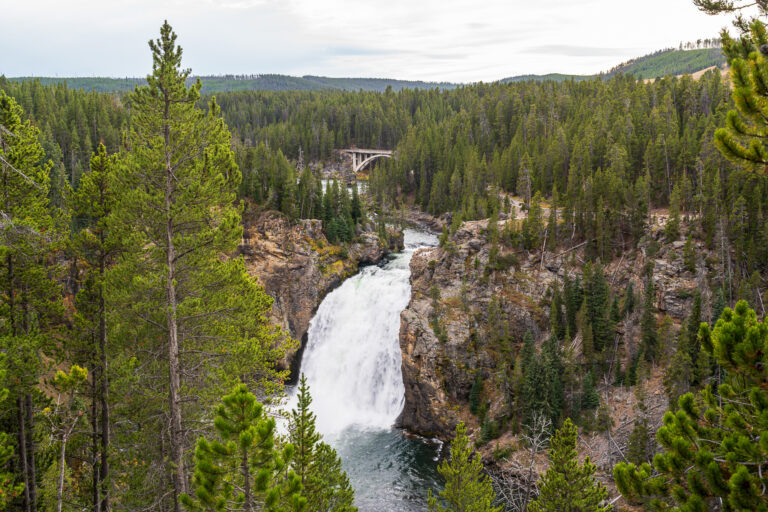 Upper Falls - Grand Canyon of the Yellowstone - Yellowstone National Park