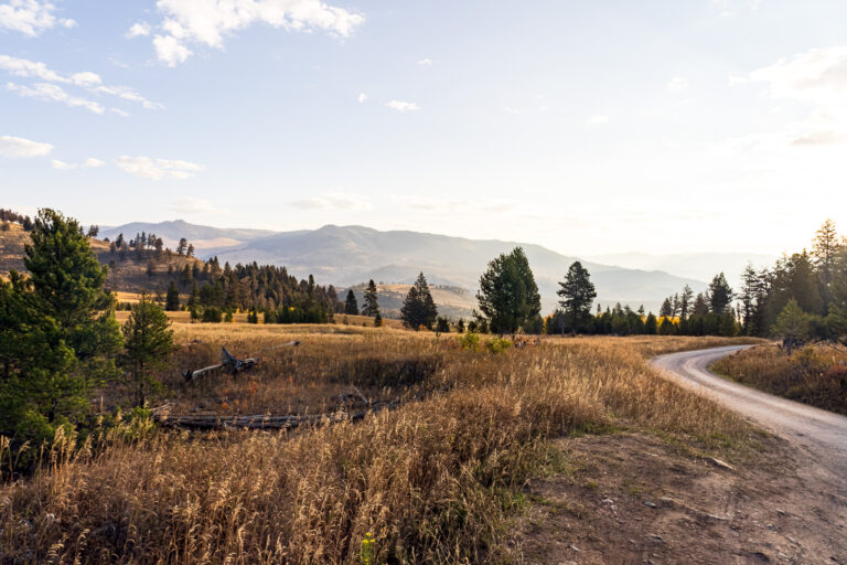 Blacktail Plateau - Yellowstone National Park